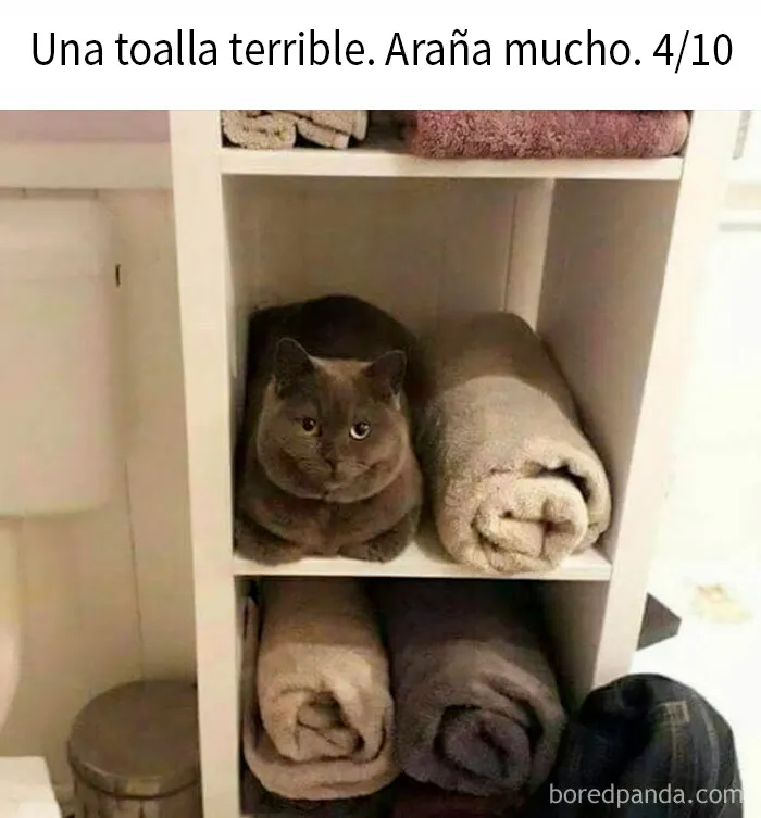 20 Memes divertidísimos para los que disfrutan de un humor diferente