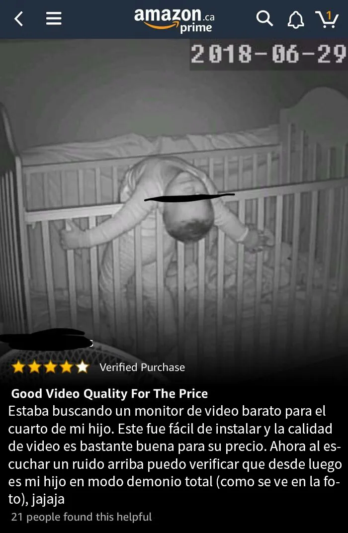 Mientras buscaba cámaras para mascotas