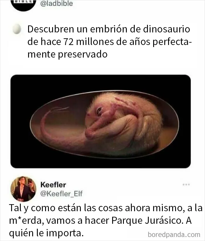20 Divertidos memes que probablemente quieras enviar a tus amigos