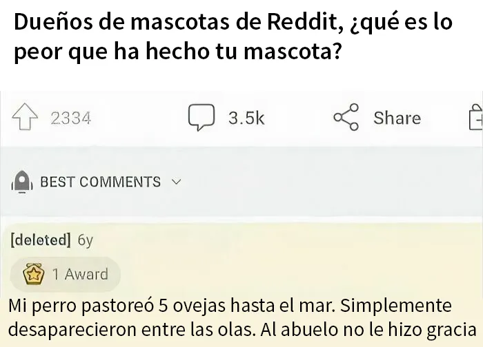 20 Divertidos memes que probablemente quieras enviar a tus amigos