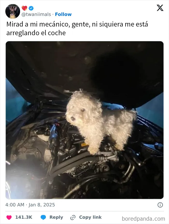20 Divertidos tuits publicados durante Enero