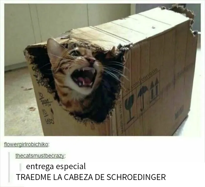 18 Divertidas publicaciones en Tumblr que se merecen releerlas