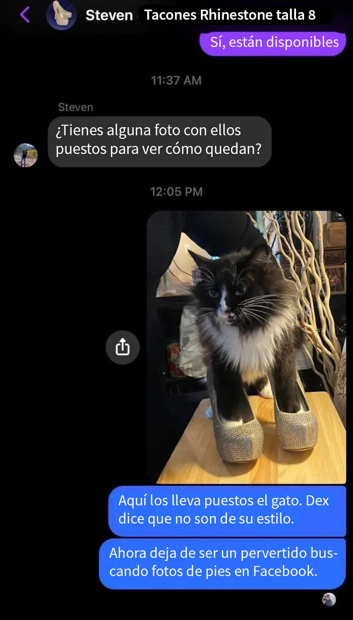 Me pareció divertido