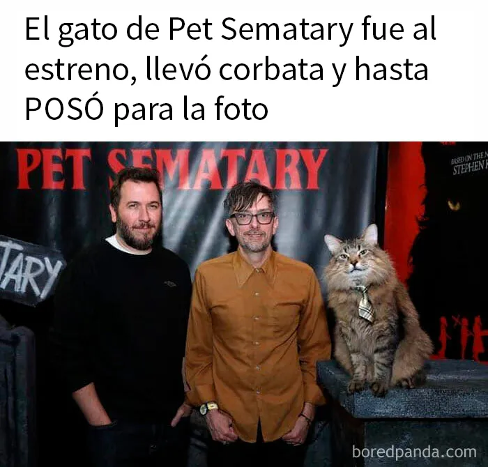 20 Encantadores memes de animales para no pensar en el estado actual del mundo