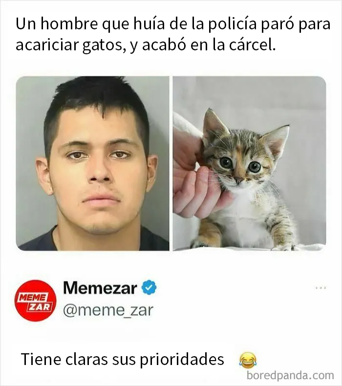20 Encantadores memes de animales para no pensar en el estado actual del mundo