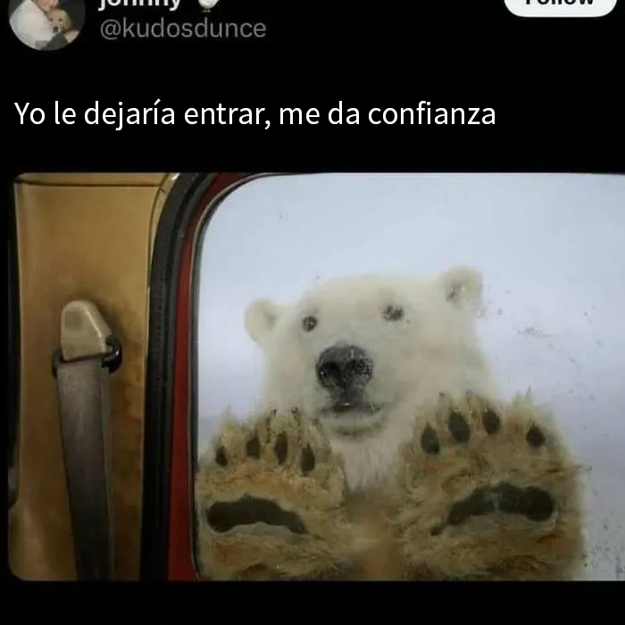 20 Encantadores memes de animales para no pensar en el estado actual del mundo