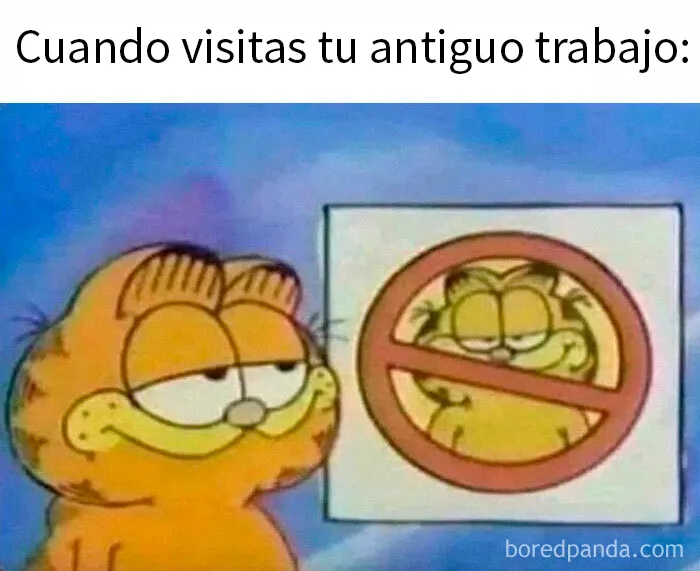 20 Memes para ayudarte a pasar la jornada laboral