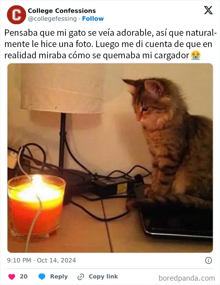 20 Divertidas publicaciones que no tienen razón para tener tanta gracia