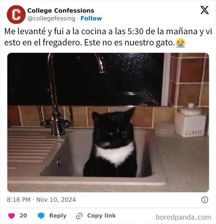 20 Divertidas publicaciones que no tienen razón para tener tanta gracia