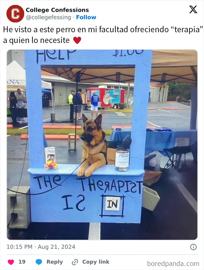 20 Divertidas publicaciones que no tienen razón para tener tanta gracia