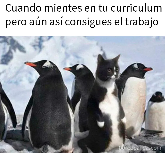 20 Publicaciones tan divertidas que querrás compartirlas con tus amigos