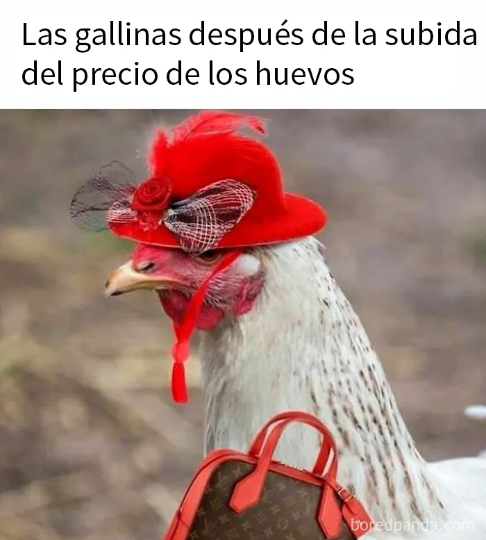 20 Publicaciones tan divertidas que querrás compartirlas con tus amigos