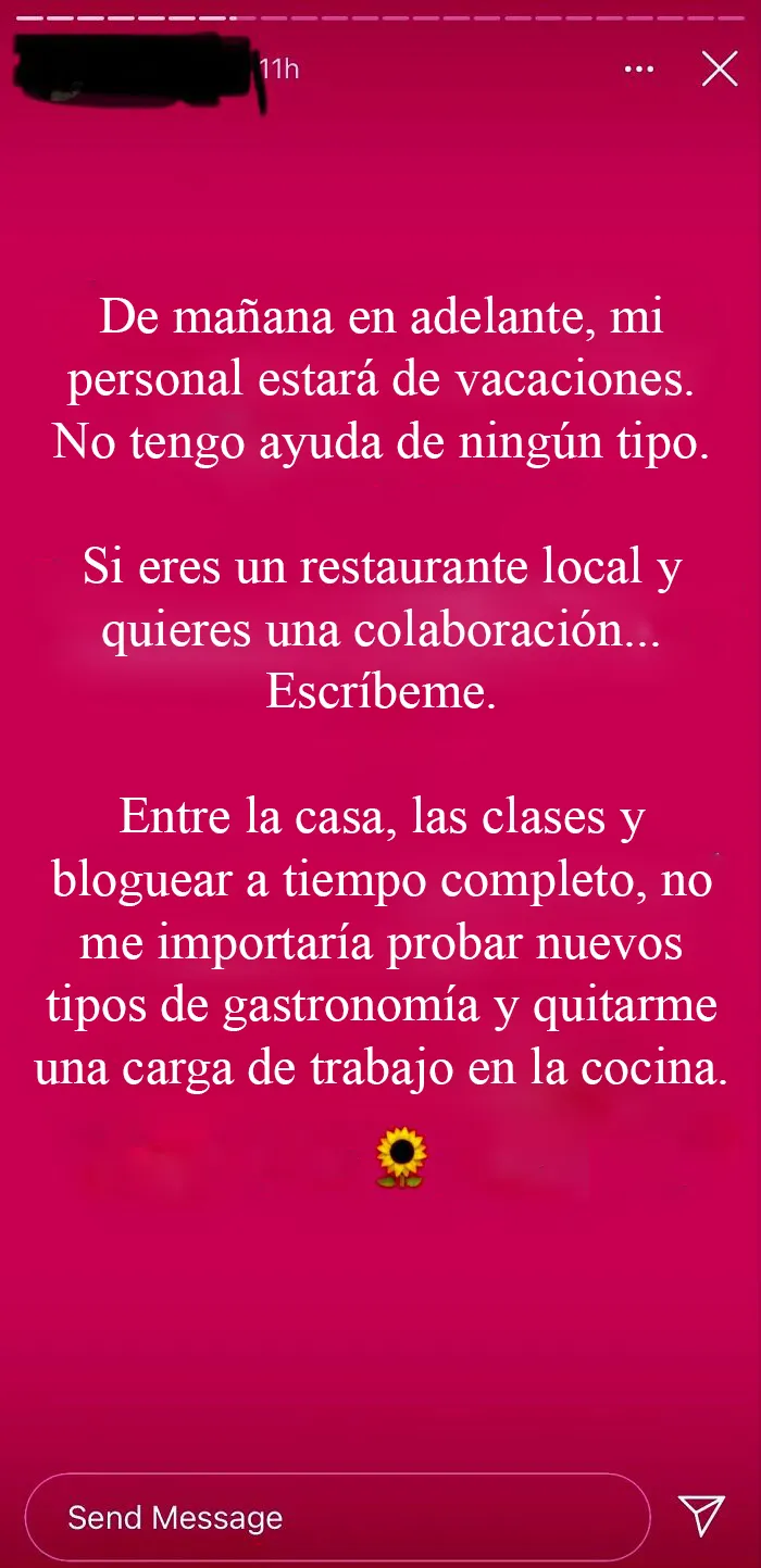 Influencer busca colaboración con restaurante local en Instagram Story sobre vacaciones sin ayuda.