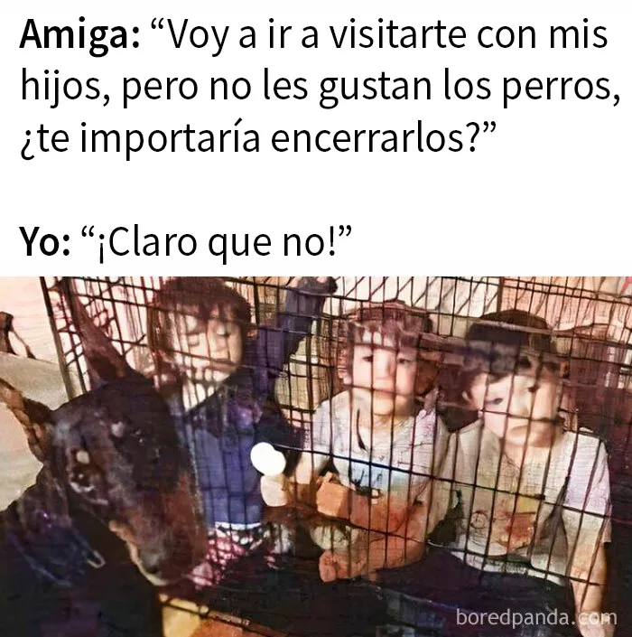 20 Divertidos memes sobre perros que encantarán a todos los dueños