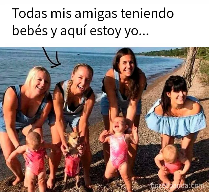 20 Divertidos memes sobre perros que encantarán a todos los dueños