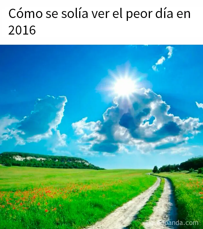 20 Memes que tienen más gracia si dominas el sarcasmo