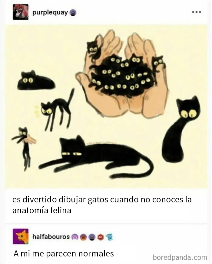 18 Divertidas publicaciones en Tumblr que se merecen releerlas