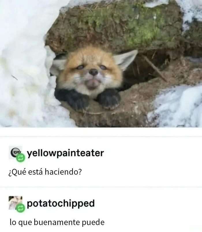 18 Divertidas publicaciones en Tumblr que se merecen releerlas