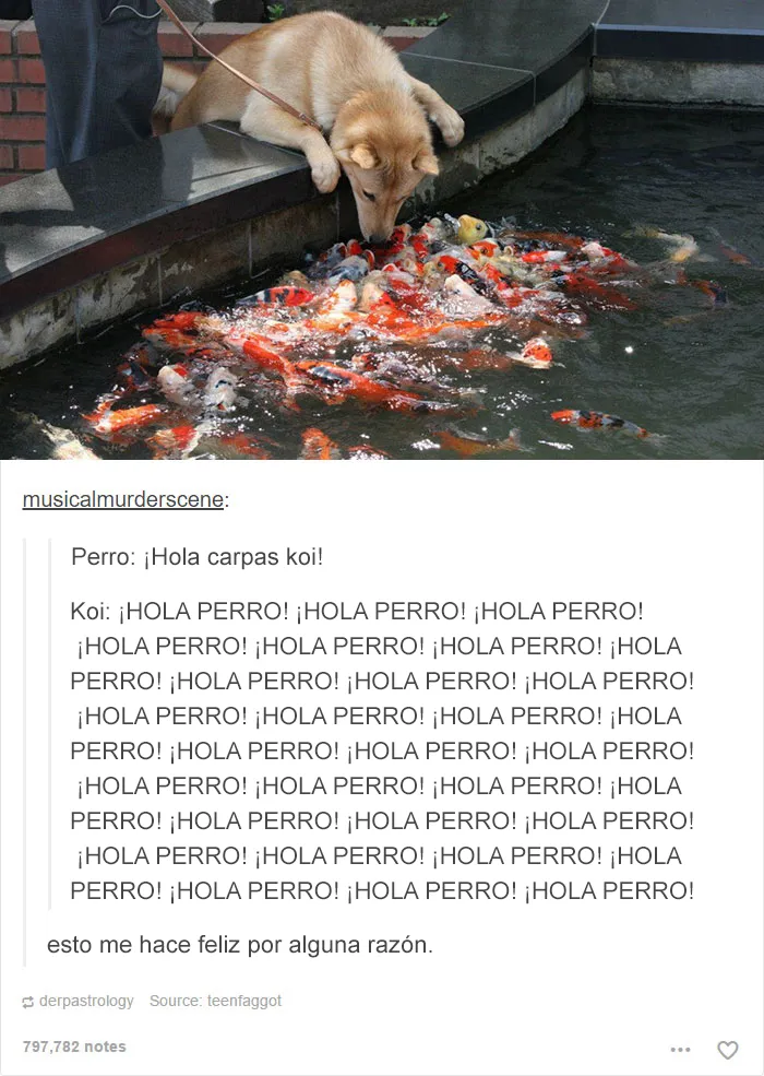 18 Divertidas publicaciones en Tumblr que se merecen releerlas