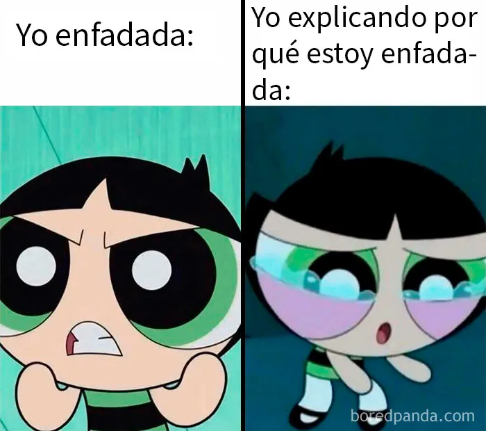 20 Memes aleatorios que demuestran que el humor es nuestro único mecanismo de supervivencia