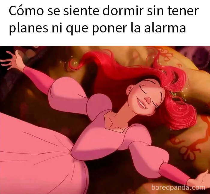 20 Memes aleatorios que demuestran que el humor es nuestro único mecanismo de supervivencia