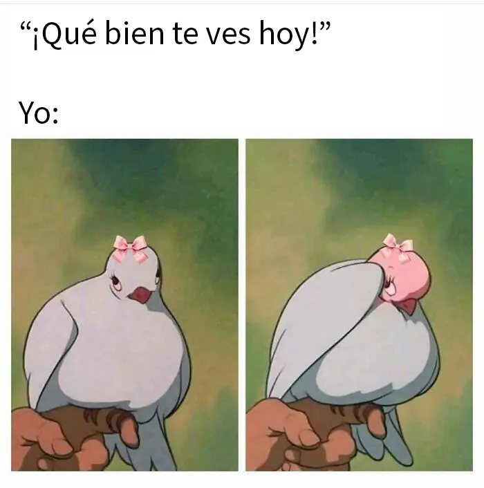 20 Memes aleatorios que demuestran que el humor es nuestro único mecanismo de supervivencia