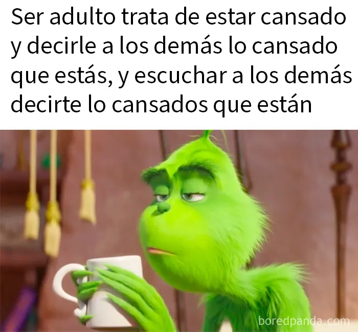 20 Memes aleatorios que demuestran que el humor es nuestro único mecanismo de supervivencia