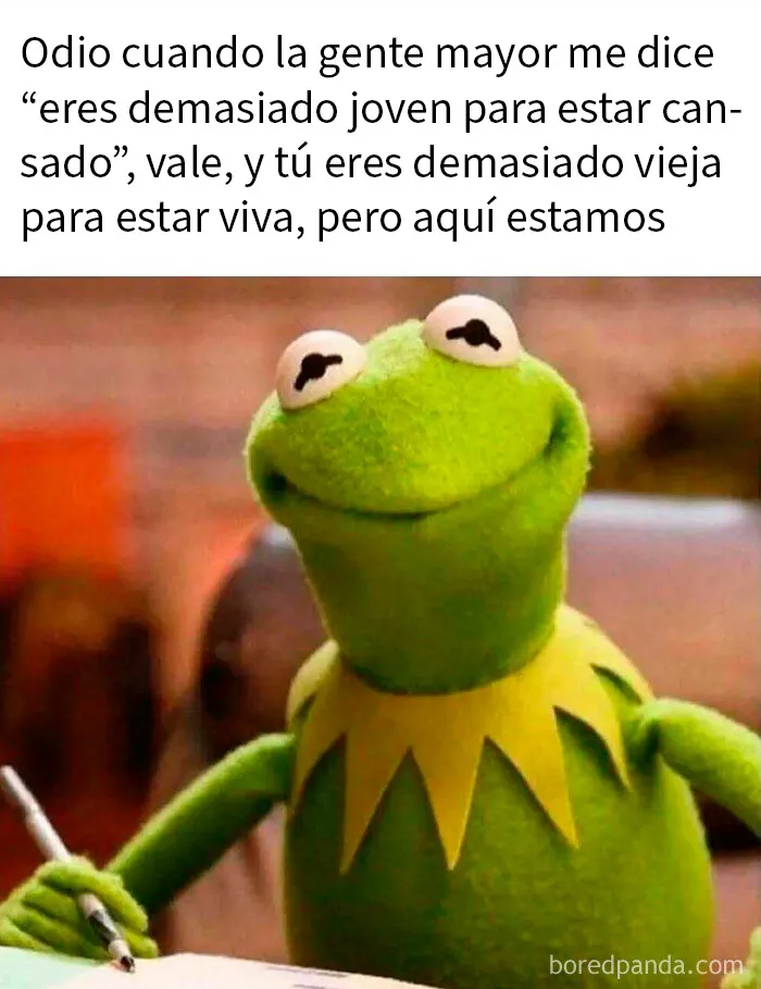 20 Memes aleatorios que demuestran que el humor es nuestro único mecanismo de supervivencia