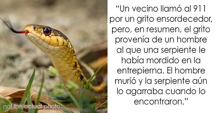 20 Cosas increíbles que los médicos forenses descubrieron durante las autopsias