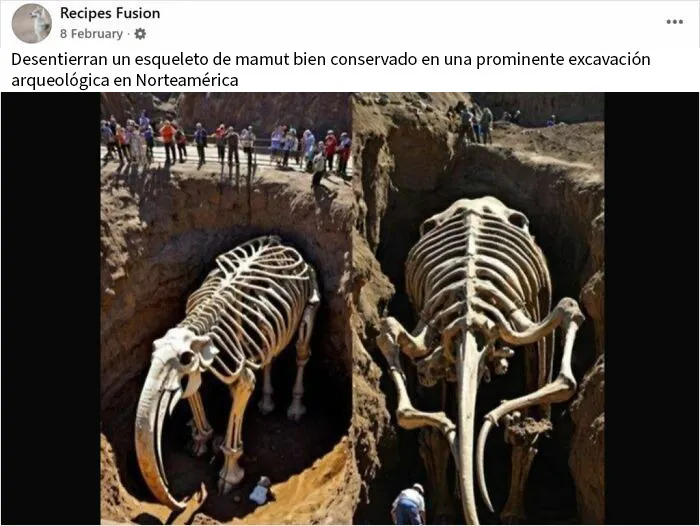 20 Personas que cayeron en la trampa de la ciencia falsa y fueron avergonzadas en internet