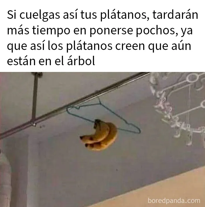 20 Personas que cayeron en la trampa de la ciencia falsa y fueron avergonzadas en internet