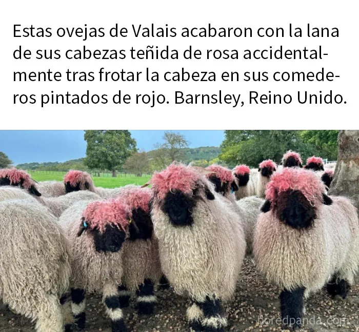 ¡No es una fase, mamá!