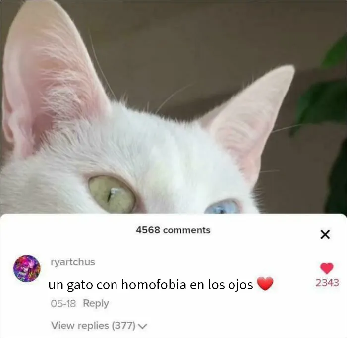 Yo lo veo