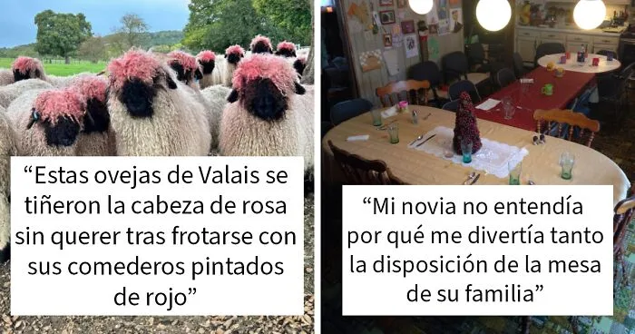 «Comedia Accidental»: 20 Nuevas fotos involuntariamente divertidas