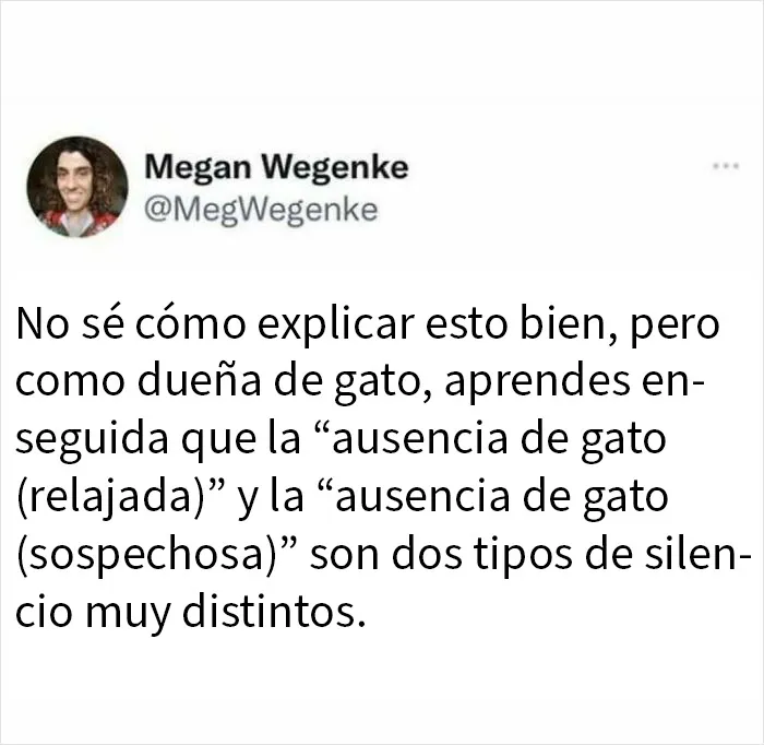 20 Tuits tan tontos como divertidos que resumen la experiencia humana