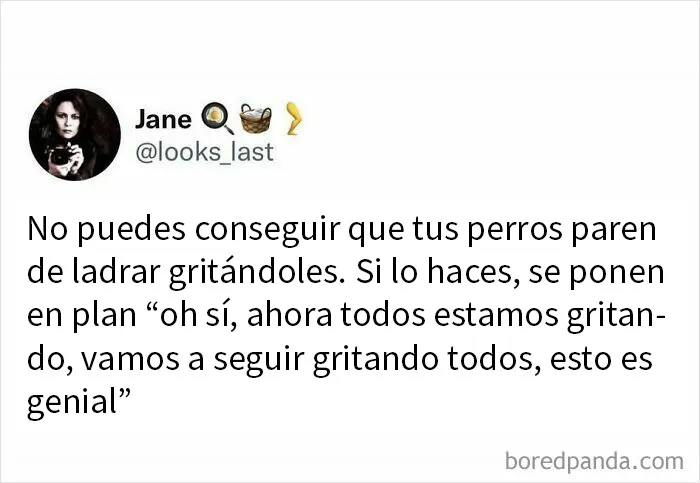 20 Divertidos tuits dedicados a los que les gusta el humor «ofensivo de buen gusto»
