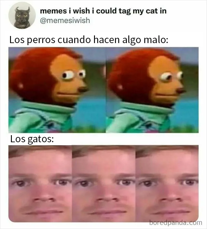 20 Divertidos tuits dedicados a los que les gusta el humor «ofensivo de buen gusto»