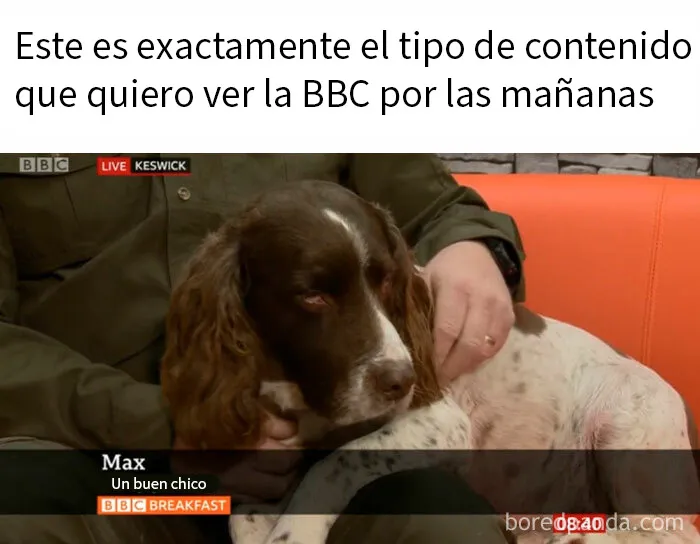 20 Divertidos memes sobre los británicos y su modo de ver la vida