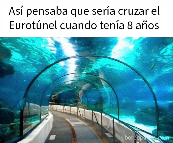 20 Divertidos memes sobre los británicos y su modo de ver la vida