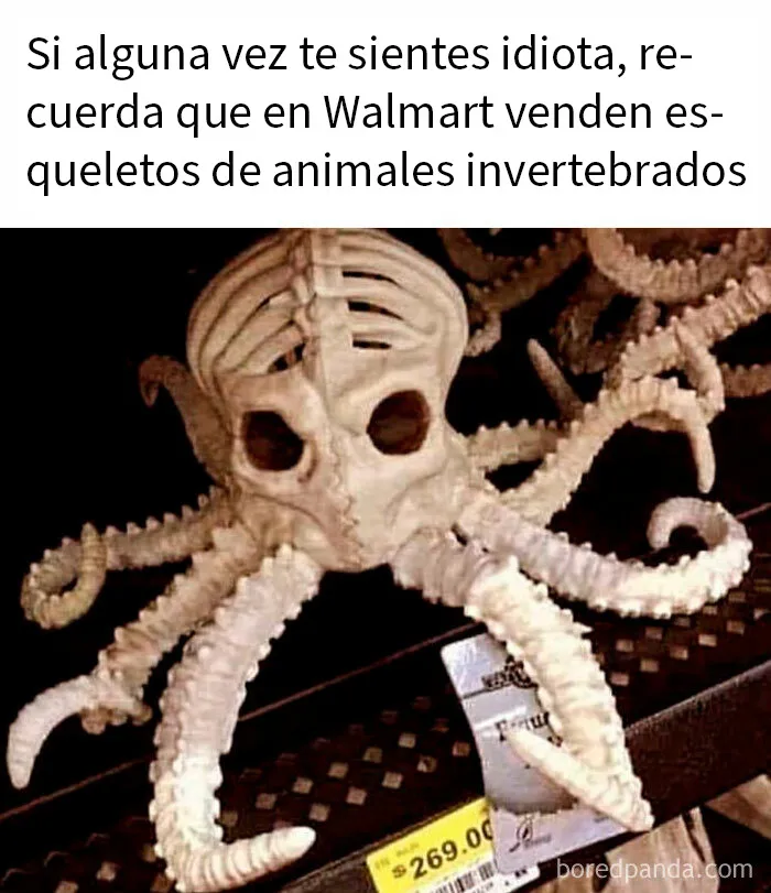¿Esto cuenta?