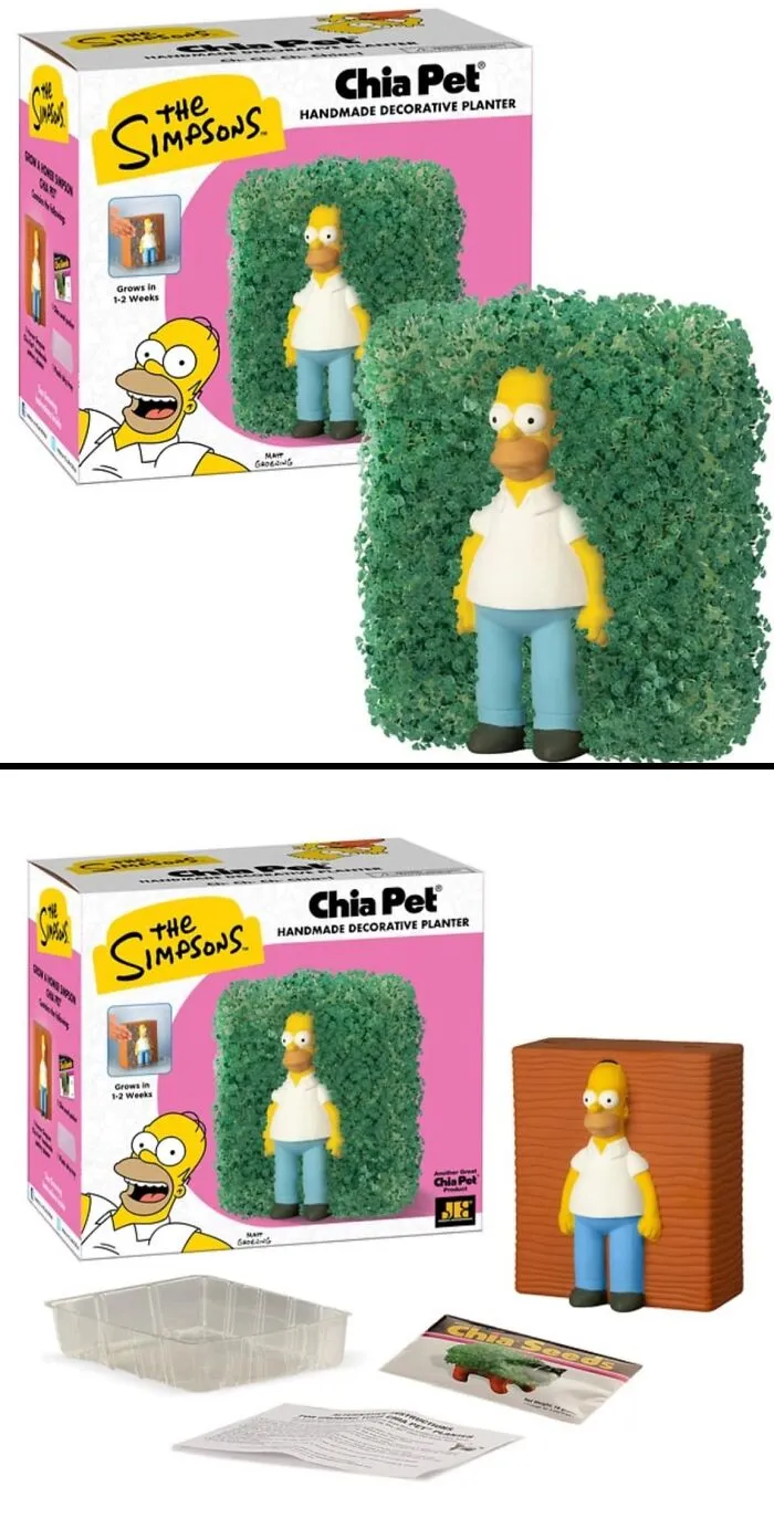 Cultiva chía con Homer