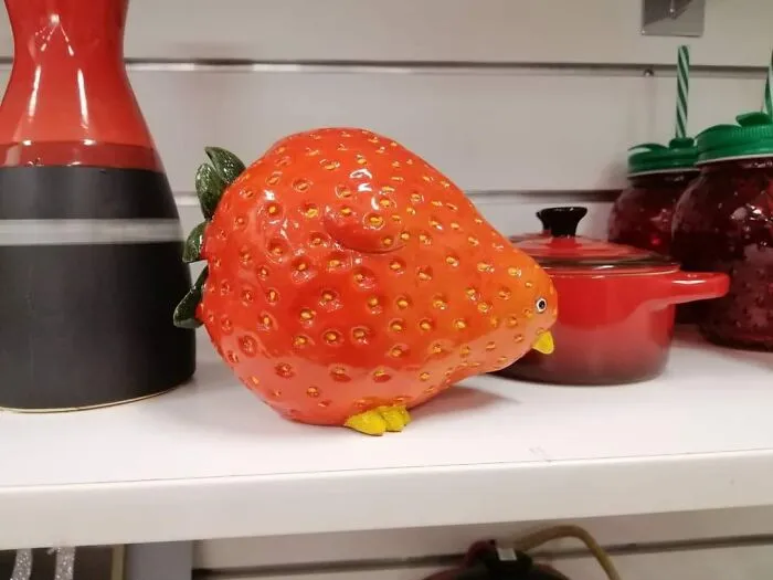 Un pollo fresa encontrado en una tienda benéfica en Melbourne, Australia