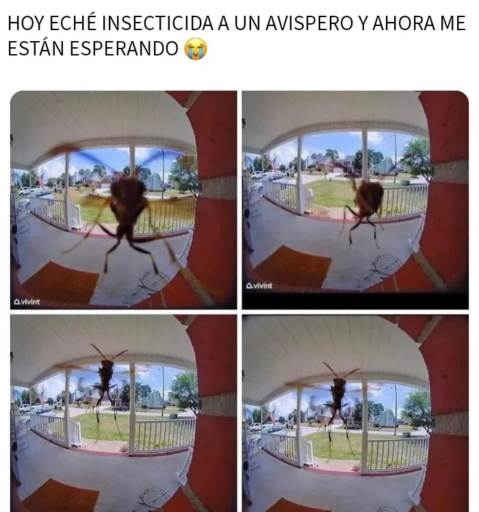 Si necesitas reírte un poco hoy, estos 20 memes divertidos podrían ser la solución