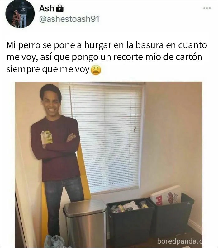 20 Memes divertidos por si te falta tu dosis de risas diaria