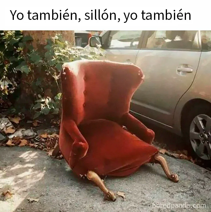 20 Memes divertidos por si te falta tu dosis de risas diaria