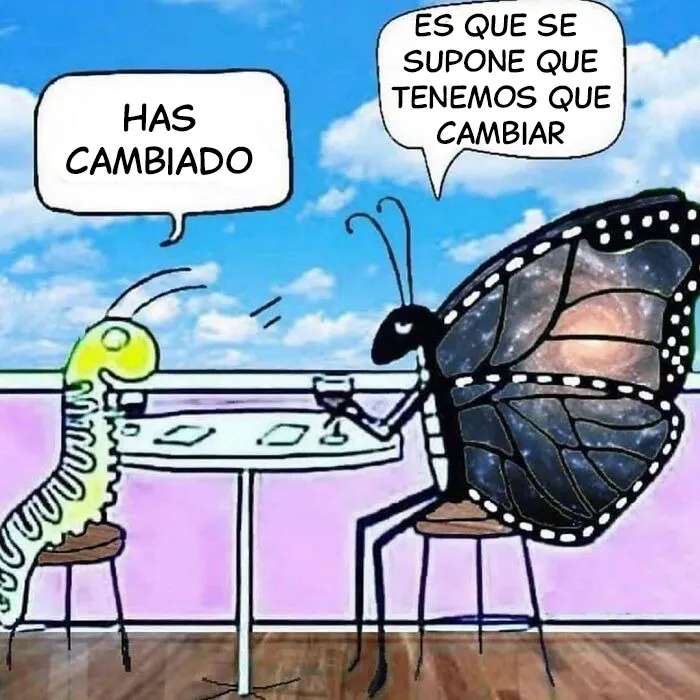 20 Memes divertidos por si te falta tu dosis de risas diaria