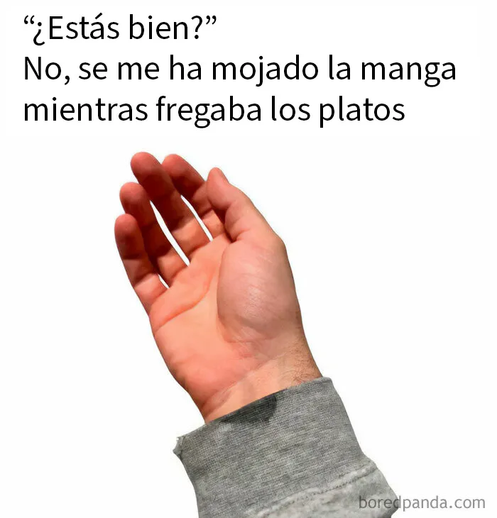 20 Divertidos memes que te atacan personalmente