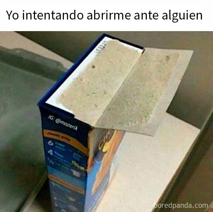 20 Divertidos memes que te atacan personalmente