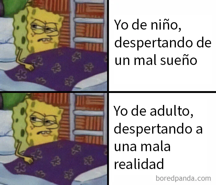 20 Divertidos memes que te atacan personalmente