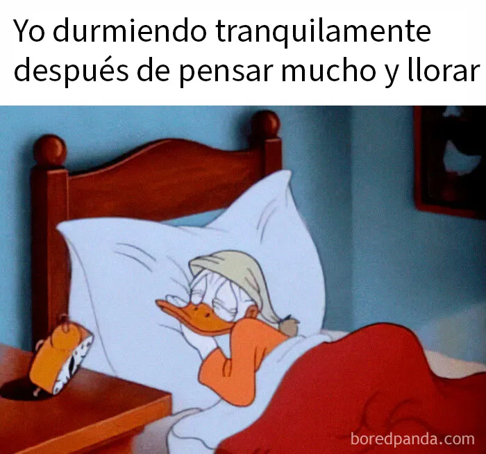 20 Divertidos memes que te atacan personalmente